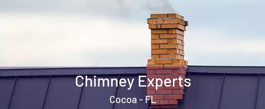 Chimney Experts Cocoa - FL