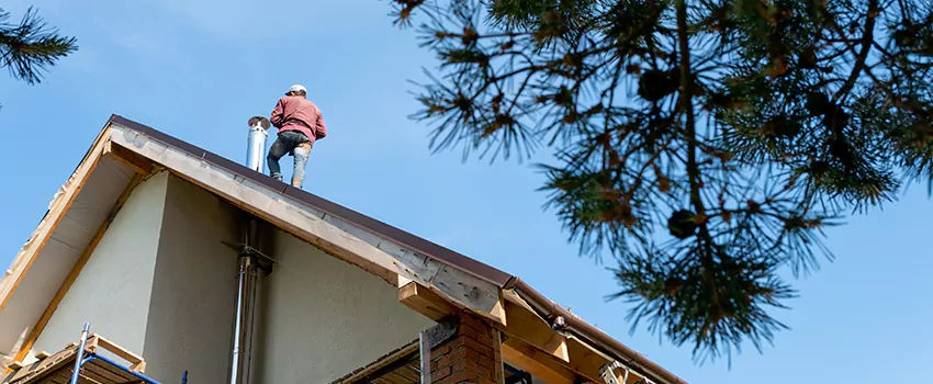 Birds Removal Contractors from Chimney in Cocoa, FL